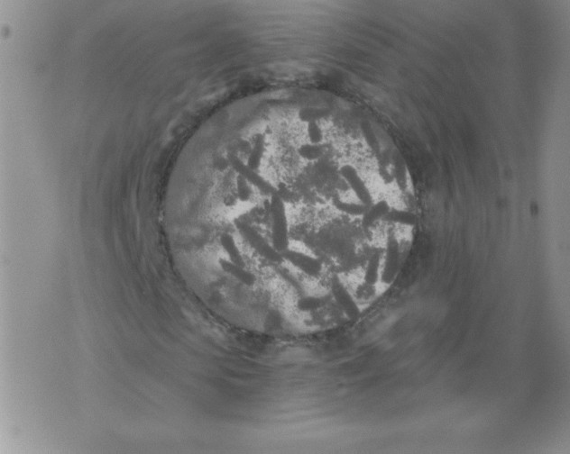 X0000071330913200607141901