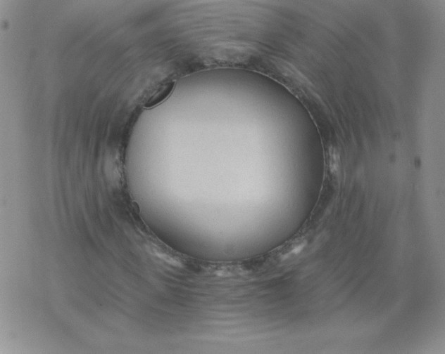 X0000071330915200607141901