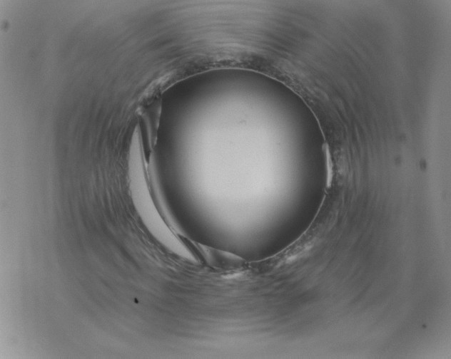 X0000071330916200607141901