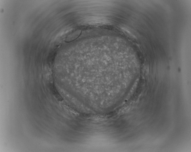 X0000071330917200607141901