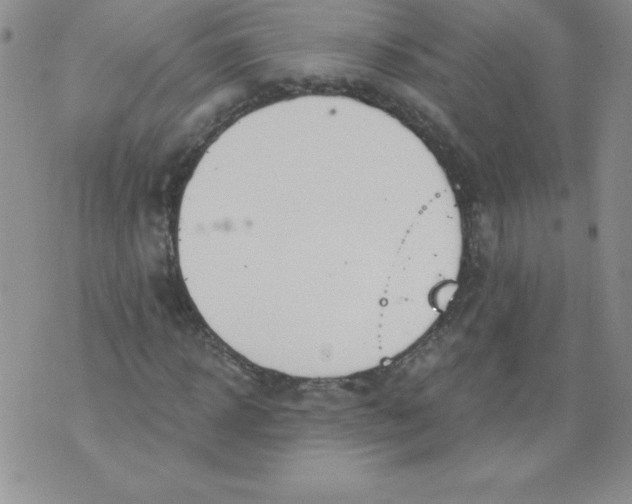 X0000071330918200607141901