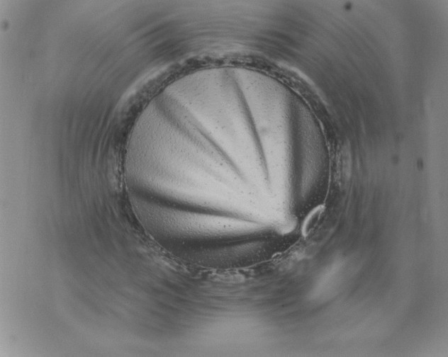 X0000071330919200607141902