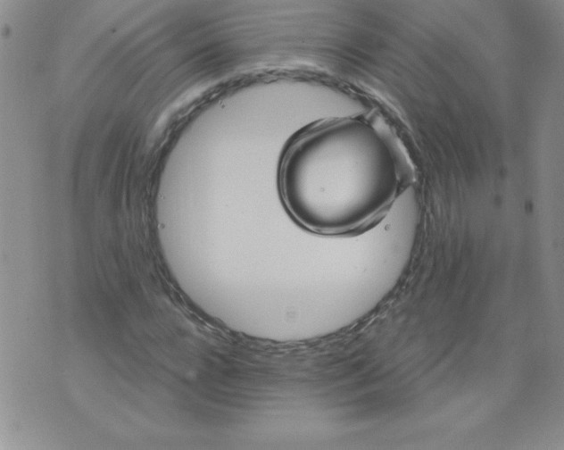 X0000071330920200607141902