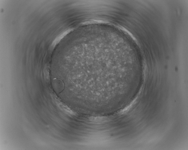 X0000071330921200607141902