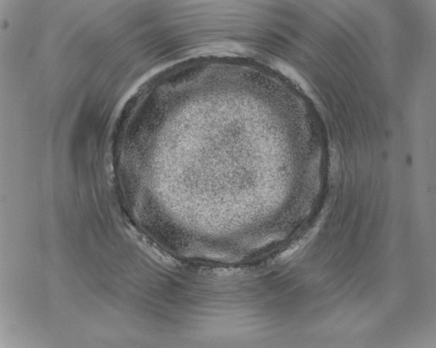 X0000071330923200607141902