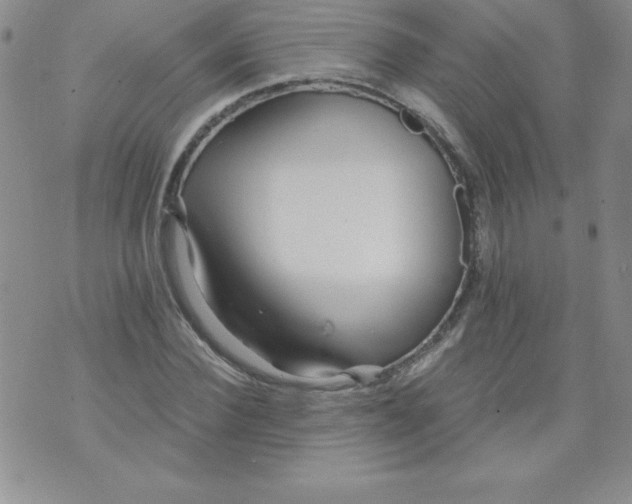 X0000071330924200607141902