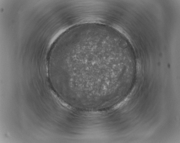 X0000071330925200607141902