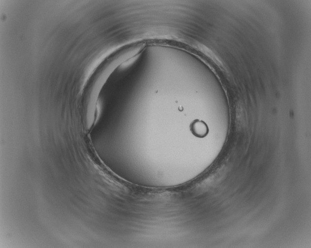 X0000071330926200607141902