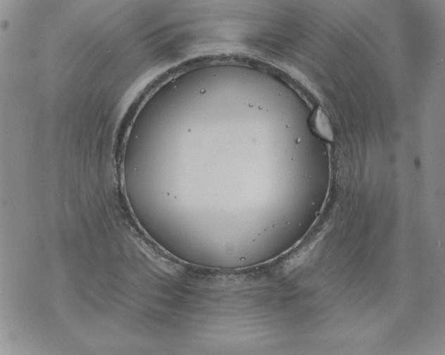 X0000071330927200607141902