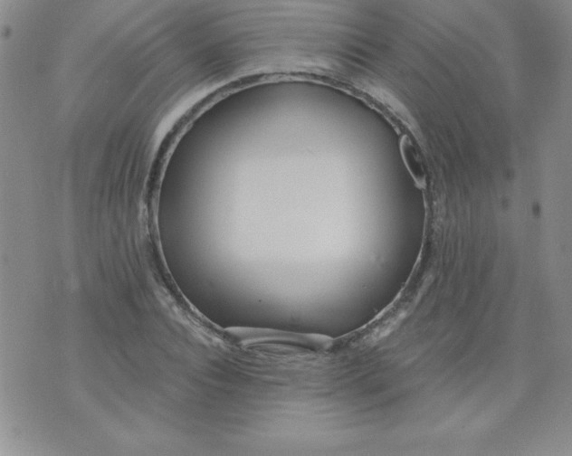 X0000071330928200607141902