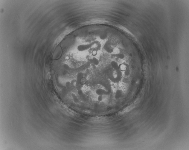 X0000071330929200607141902