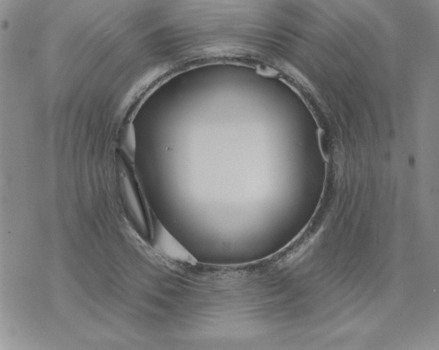 X0000071330930200607141902