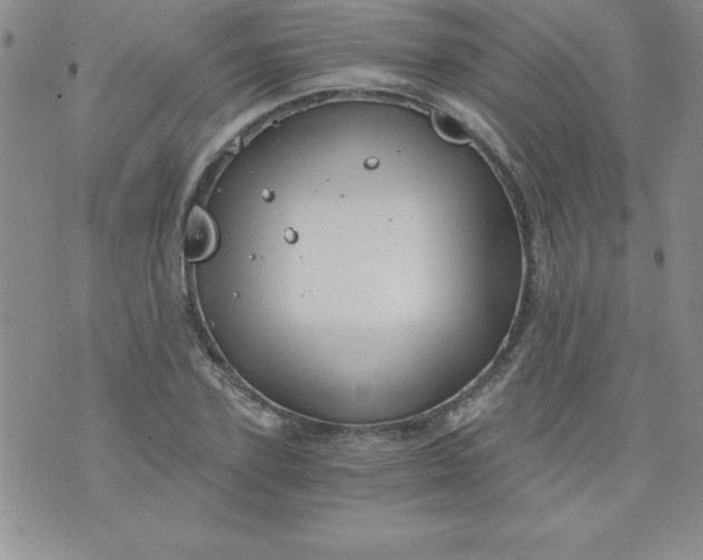 X0000071330931200607141902