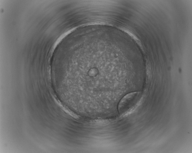 X0000071330933200607141902