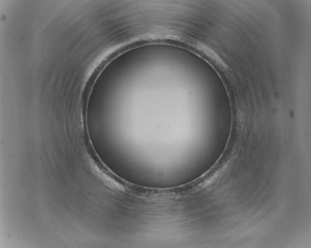 X0000071330934200607141902