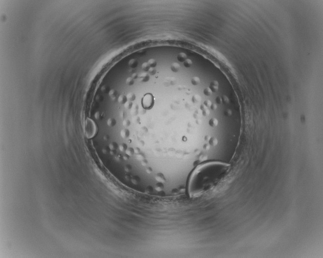 X0000071330935200607141902