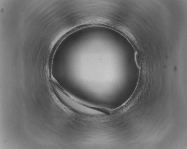 X0000071330936200607141902