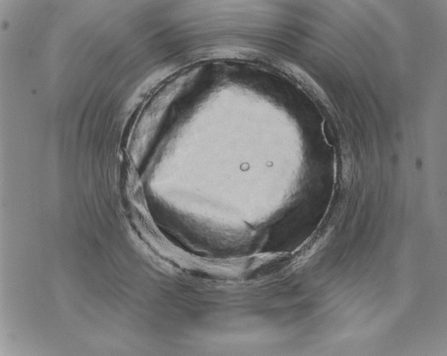 X0000071330938200607141902