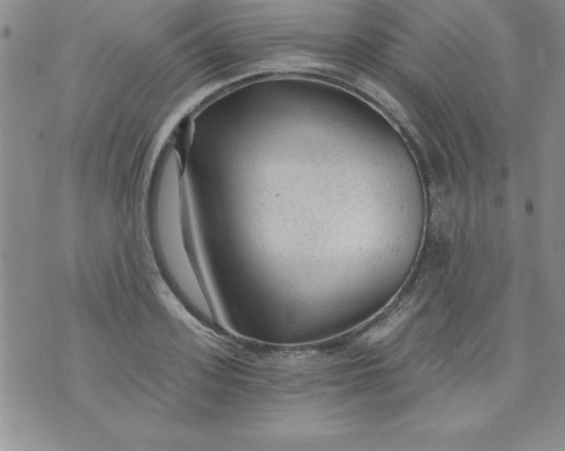 X0000071330939200607141902