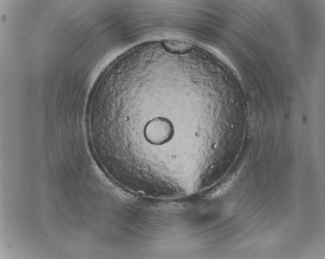 X0000071330943200607141902