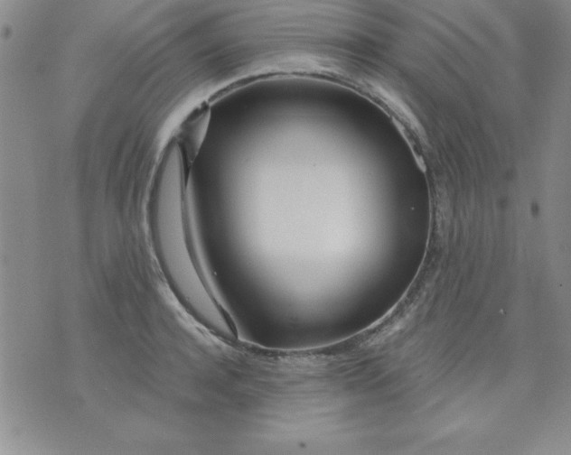 X0000071330944200607141902