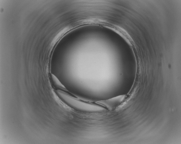 X0000071330946200607141902