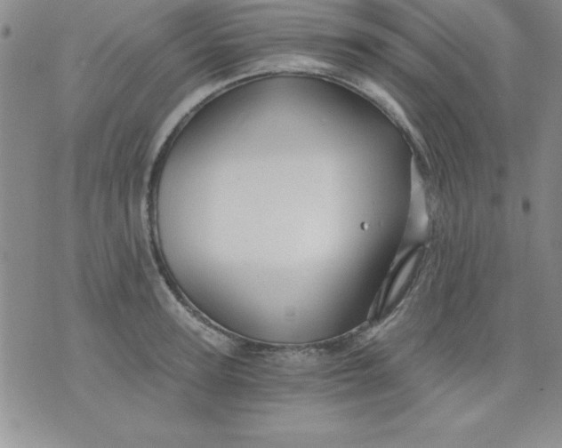 X0000071330947200607141902