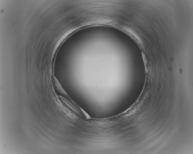 X0000071330948200607141902