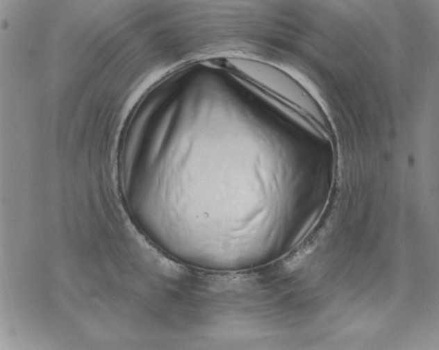 X0000071330949200607141902