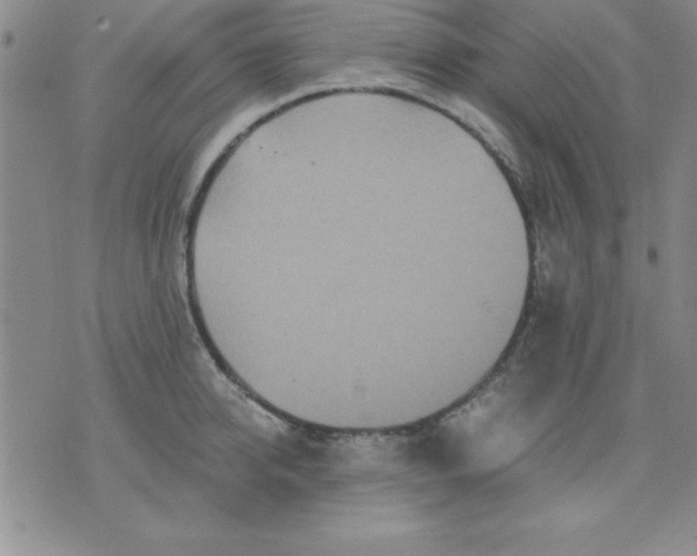 X0000071330950200607141902