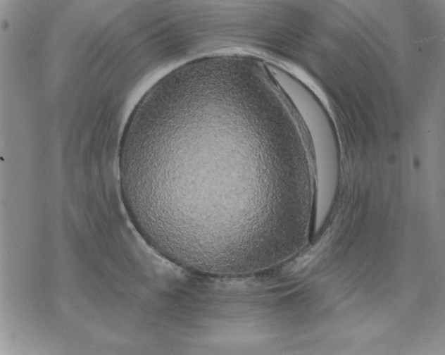 X0000071330951200607141902