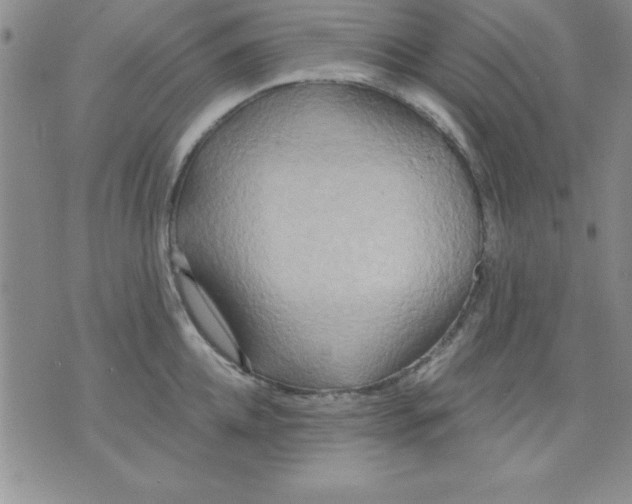 X0000071330952200607141902