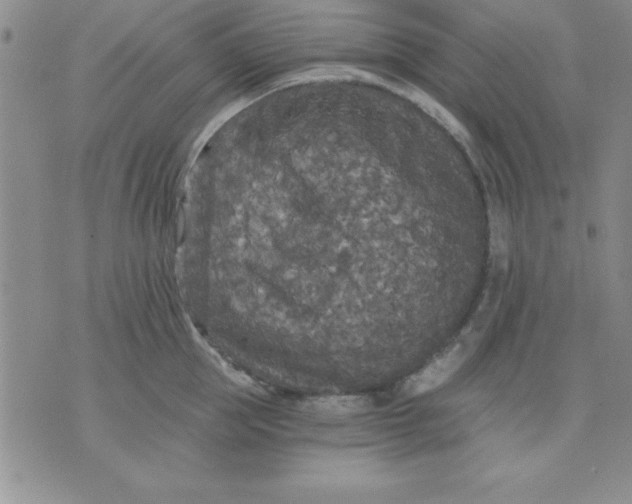 X0000071330953200607141902