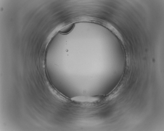 X0000071330954200607141902