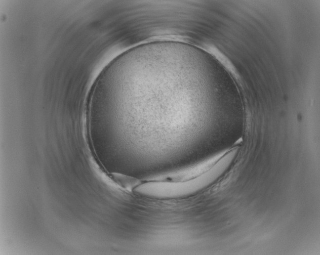 X0000071330955200607141902