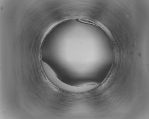 X0000071330956200607141902