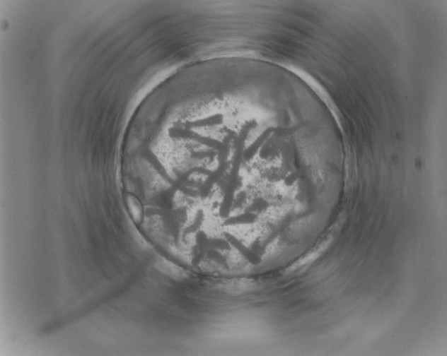 X0000071330957200607141902