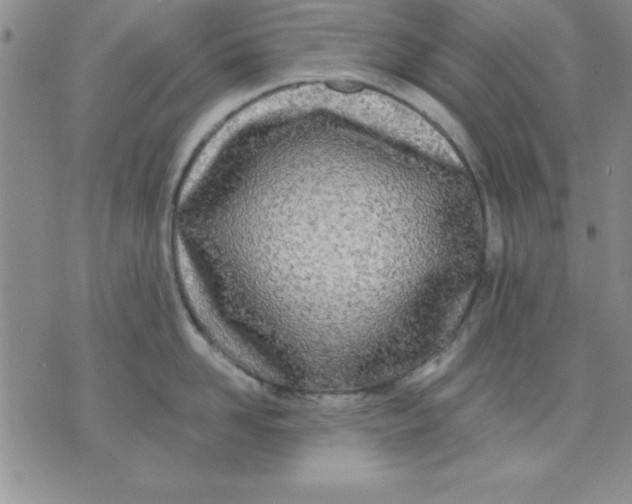 X0000071330958200607141902