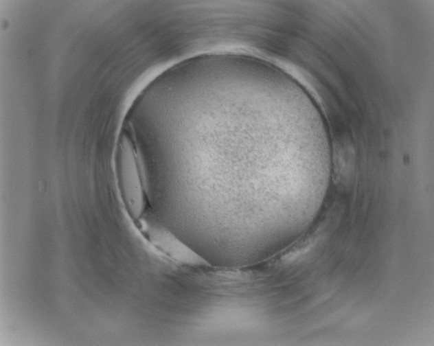 X0000071330959200607141902