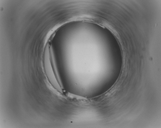 X0000071330960200607141902