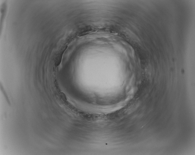 X0000071330961200607141901