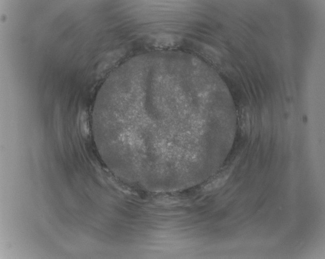 X0000071330962200607141901