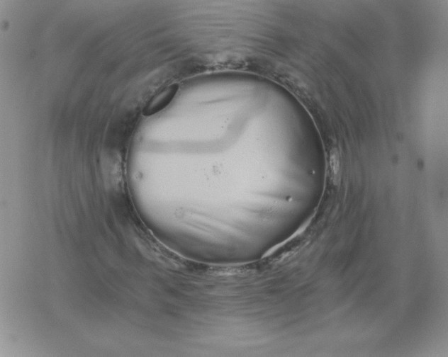 X0000071330963200607141901