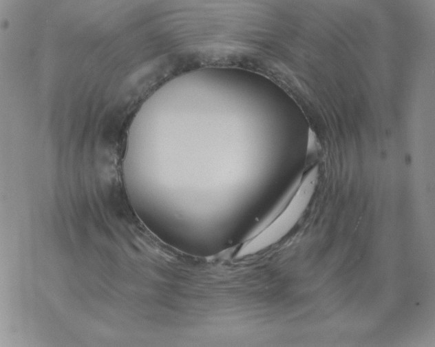 X0000071330964200607141901