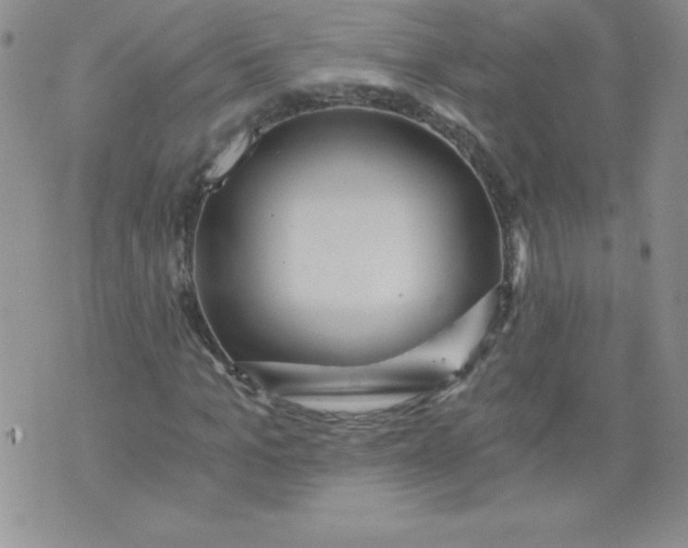 X0000071330965200607141901