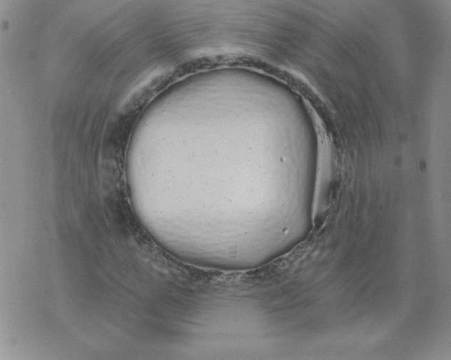 X0000071330967200607141901