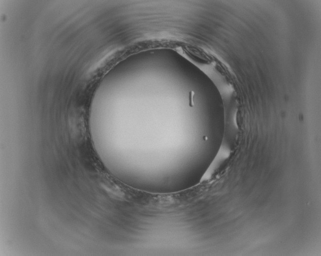 X0000071330968200607141901