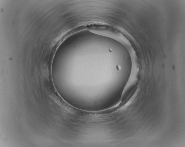 X0000071330969200607141901