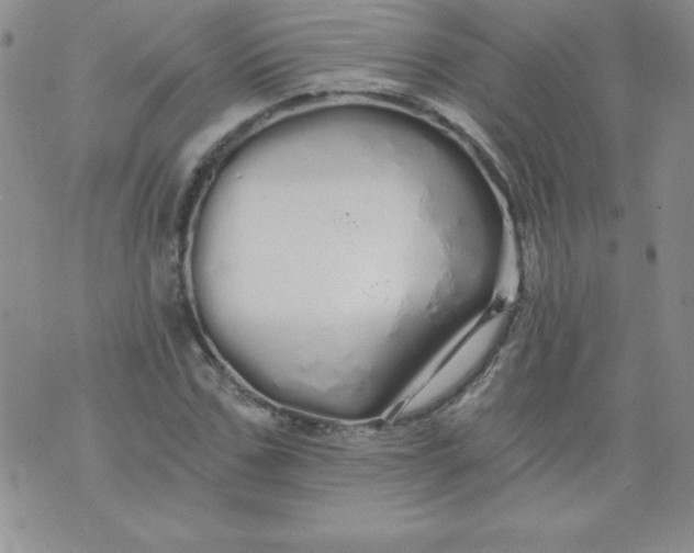 X0000071330971200607141901