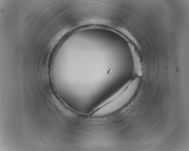 X0000071330972200607141901